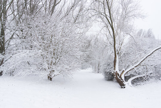 the center of zeewolde in winter conditions.
flevoland the netherlands Feb 2020