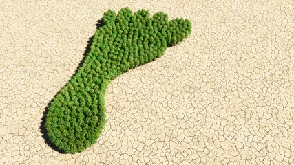 Fotobehang Concept of conceptuele groep groene bosboom op droge grondachtergrond, teken van blootvoets. Een 3D-illustratiemetafoor voor natuur, gezondheid, milieu, CO2-voetafdruk en klimaatverandering © high_resolution