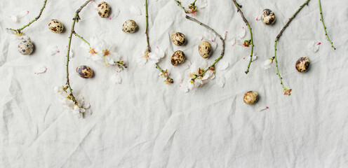 Easter holiday background. Fkat-lay of tender Spring almond blossom flowers on branches and quail eggs over light grey linen cloth, top view, copy space. Greeting card concept