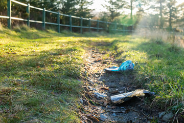 Naklejka premium Plastic bottle litter left on a countryside path in the low winter sun