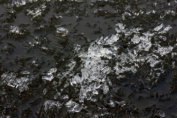 melting ice on lake, Finland