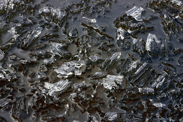 melting ice on lake, Finland