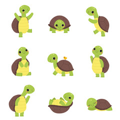 Obraz premium Happy Green Turtle Walking, Waving Paw and Sleeping Vector Set