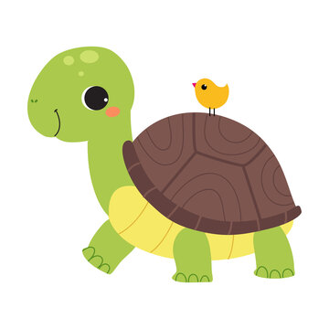 Happy Green Turtle Walking with Bird Sitting on Its Carapace Vector Illustration