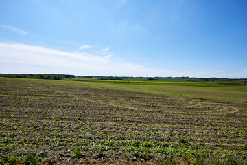 large empty field in the country side
