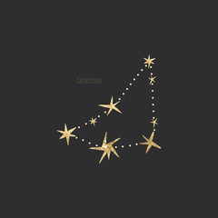 Obraz premium vintage vintage retro engraving style. zodiac sign and astrology. printing on gold foil