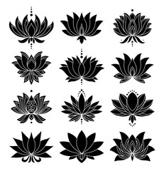 otus icons set. Blooming flowers. Monochrome blooming plants, various petals black symbols. Blossom, aquatic plant vector elements for web