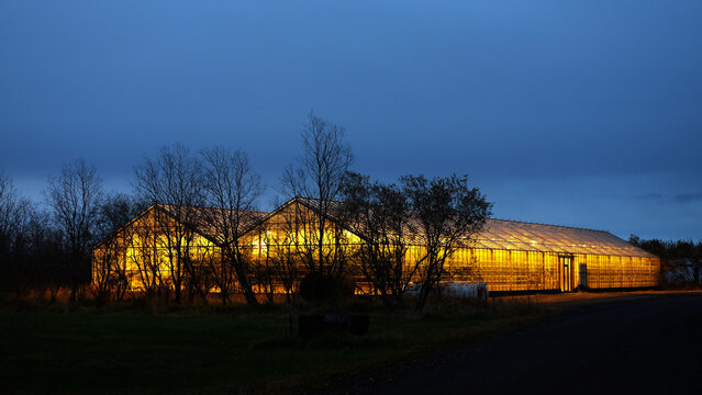 Invernaderos al anochecer en Islandia
