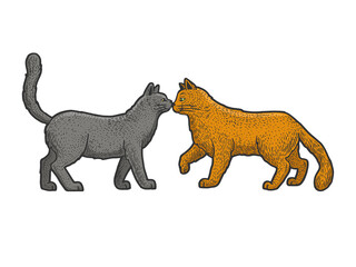 Cat love couple greeting sketch raster