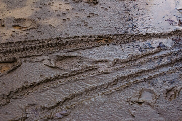 Bicycle tire tracks in the mud