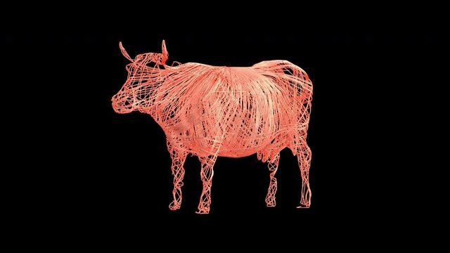 Artistic Cow revealed from wire. A rotating 360 degree camera reveals it. It's a 4K .mov ProRes 4444, with Alpha Channel footage.
