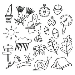 doodle nature vector isolated illustration, ideal for print