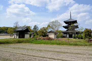 Fototapeta na wymiar 法起寺　三重塔と西門　奈良県斑鳩町