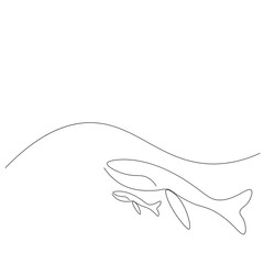 Fototapeta na wymiar Whale animal silhouette line drawing, vector illustration