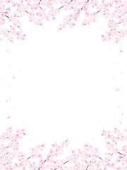 満開の桜　フレーム・背景素材（縦向き）