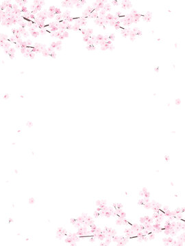 309 最適な 桜の囲み 画像 ストック写真 ベクター Adobe Stock
