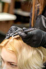 Fototapeta premium A closeup head of a young blonde woman receiving dyeing hair in a hair salon