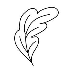 Autumn nature doodle element