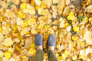 Horizontal view of autumn background full with yellow and brown leaves. Unrecognizable female person isolated feet on seasonal concept. Yellow seasonal copyspace with leaves pattern design.