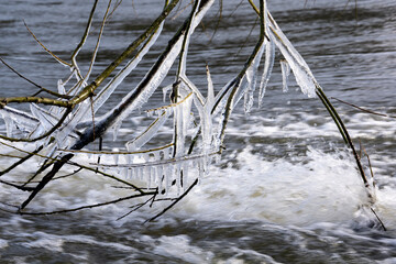 Icicles forming on a tree overhanging a weir