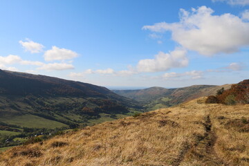 Naklejka premium La cantal (Région de Salers)