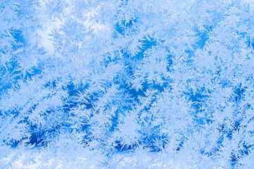 Winter snowflakes crystals on glass. Close-up macro photo