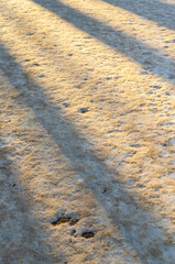 Shadows on a snowy sunny winter road
