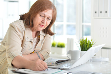 Obraz na płótnie Canvas senior woman working with laptop