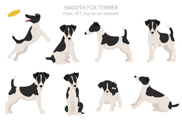 Smooth fox terrier clipart. Different poses, coat colors set. - obrazy, fototapety, plakaty