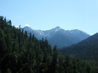 mountains and forest