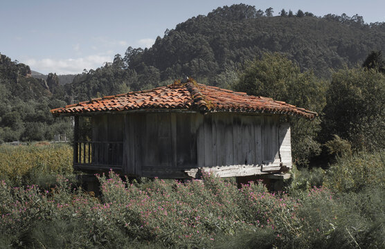 Un h&oacute;rreo Asturiano - Cata antigua tipica