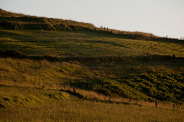 Verano en asturias, campos de pasto al atardecer