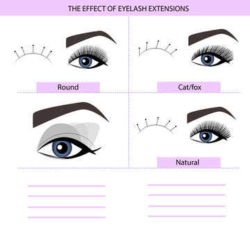 Eyelash extension infographics. Step by step guide. Types of Lash Curls, vector illustration