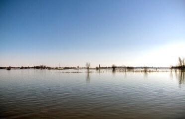 Fototapeta na wymiar High water in the floodplains of a river in the Netherlands