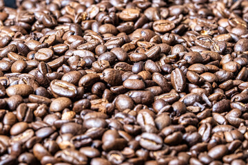 Coffee beans in a cup
