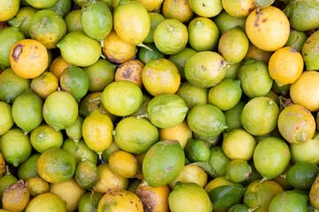 lemons on the ground because of storms and that cannot be eaten. a ruin for agriculture.