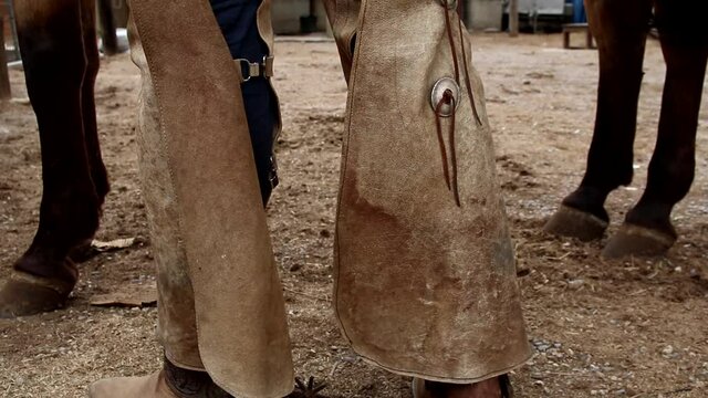 A cowboy gets off his horse with his boots and spurs. A cowboy dismounts from his horse and shows his boots, chaps and spurs
