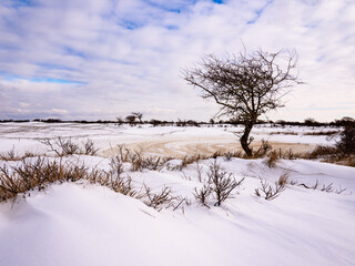 Winter in De Zilk, Netherlands