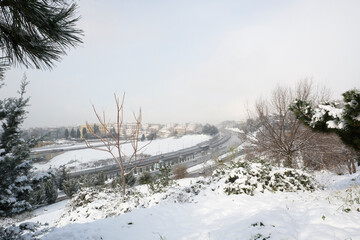 Fototapety na wymiar - Fototapeta24.pl