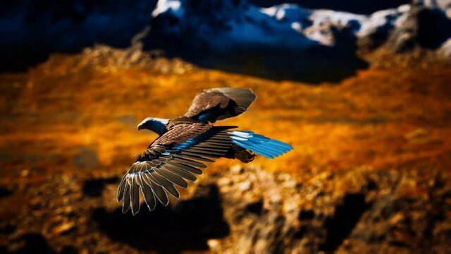 slow motion american bald eagle in flight over alaskan mountains