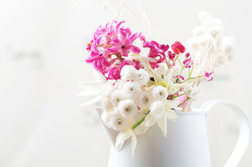 Spring  flowers on white background.