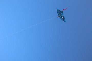 kite in the sky