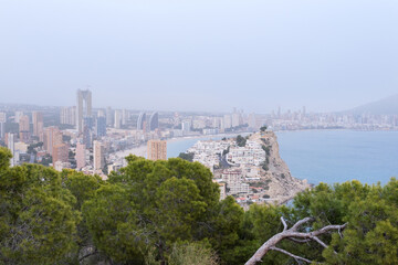 Fototapeta premium Elevated panoramic view of a large city with skyscrapers on the Mediterranean Sea with pine trees in the foreground.