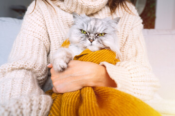 Woman in cozy sweater holding in arms cranky cat in plaid. Cat resting and warming under a soft blanket in cold autumn or winter weather