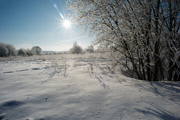 Winter flat landscape.After a cold night, the branches of the trees in the field are covered with frost. The background is blurry, boke. Traces of people, sunny sky, small and large plants are visible
