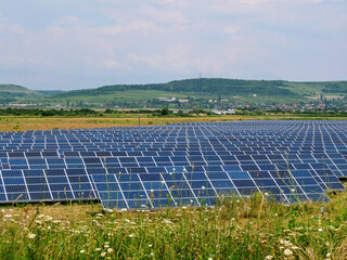 View with a field of photovoltaic modules for renewable energy in a sunny area among wildflowers