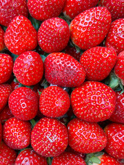 Strawberries in the market.