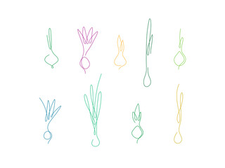 One line art style onion. Abstract creative food in minimalism design. Hand drawn vector illustration. 