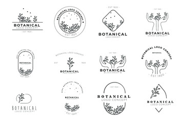 Flower logo pack of 12 logos