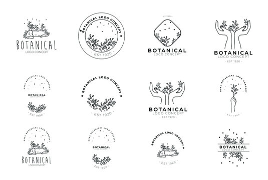Minimal feminine modern botanical floral organic natural 

abstract seasonal classical floral logo design